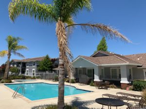 Elk Grove CA Affordable Apartments - Expansive Pool Surrounded by Various Lounge Area